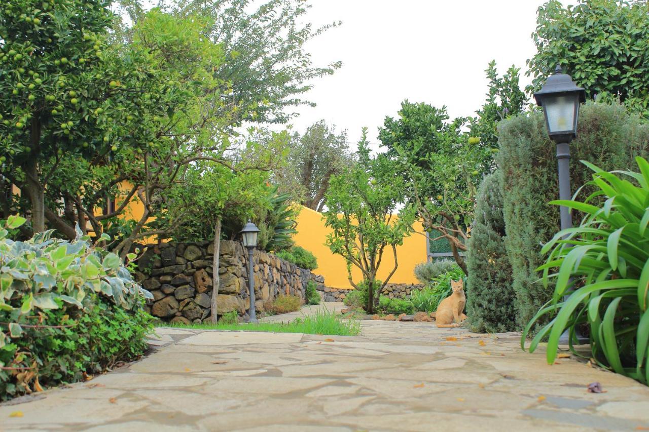Finca La Majadera El Rosario  Εξωτερικό φωτογραφία