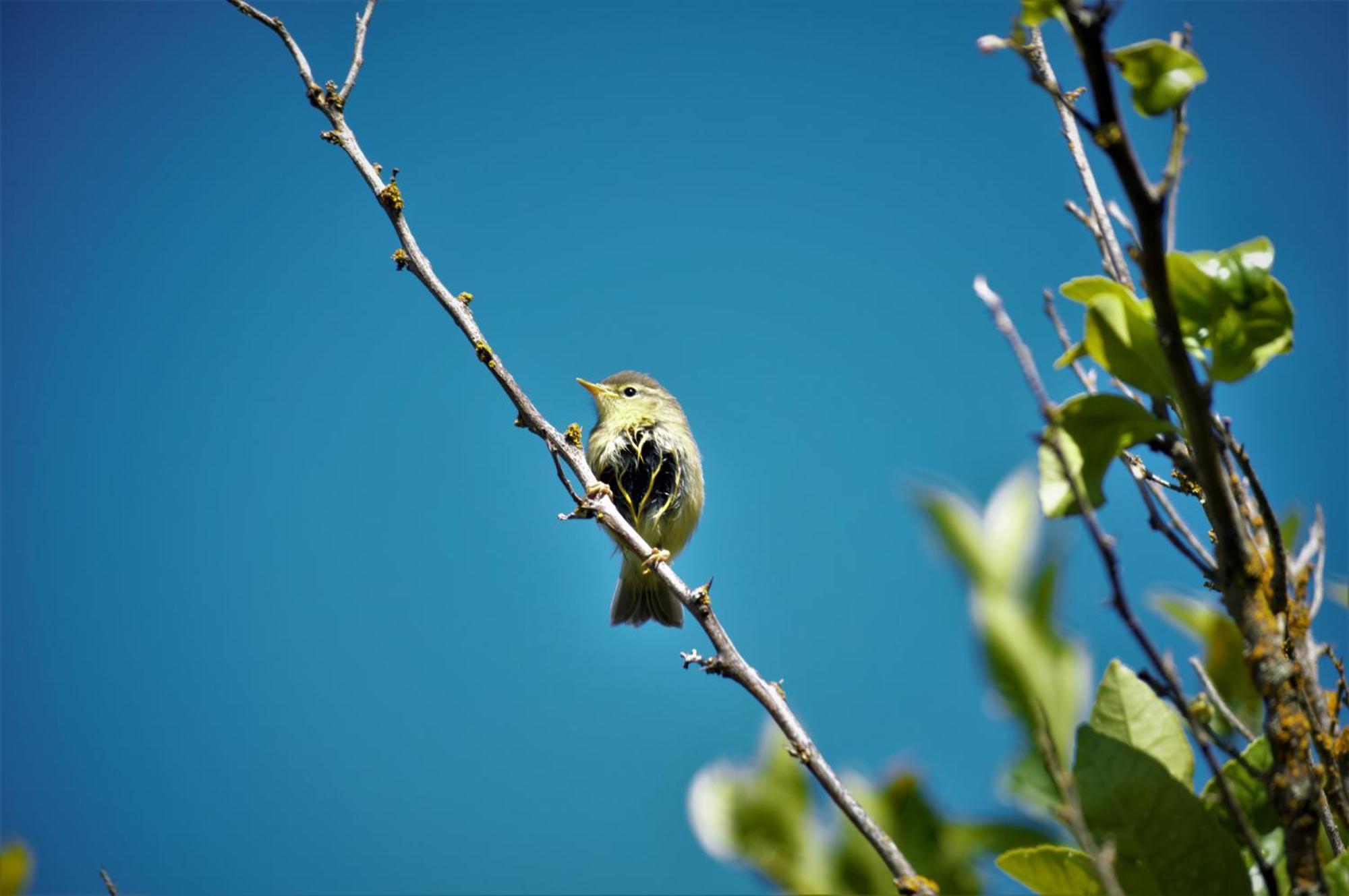 Finca La Majadera El Rosario  Εξωτερικό φωτογραφία
